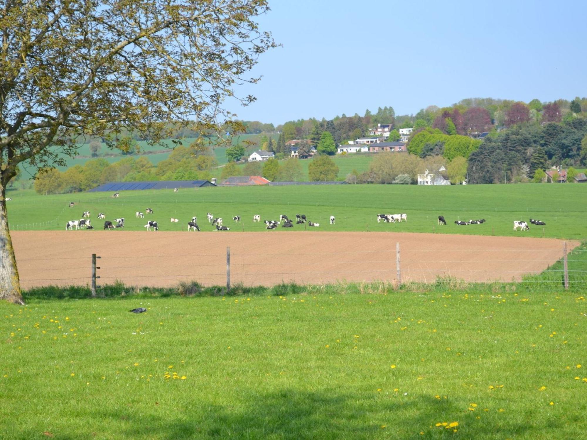 Attractive Farmhouse In South Limburg With Terrace Villa Klimmen ภายนอก รูปภาพ